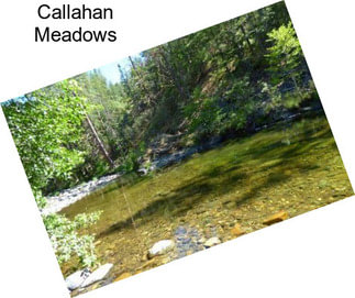 Callahan Meadows
