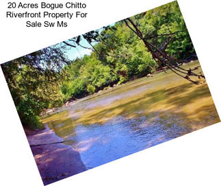 20 Acres Bogue Chitto Riverfront Property For Sale Sw Ms