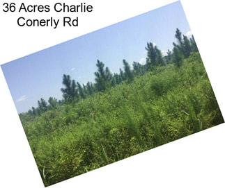 36 Acres Charlie Conerly Rd