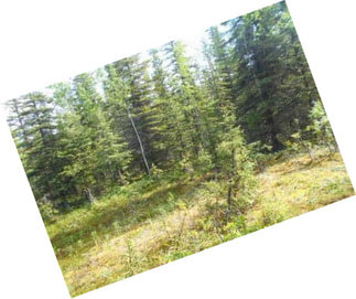 Great Building Lot With Subdivision Access To The World Famous Kenai River.
Mls 17-10178