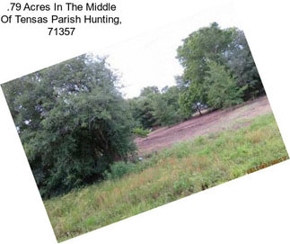 .79 Acres In The Middle Of Tensas Parish Hunting, 71357