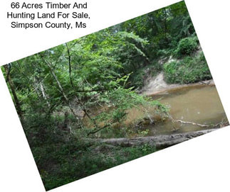 66 Acres Timber And Hunting Land For Sale, Simpson County, Ms