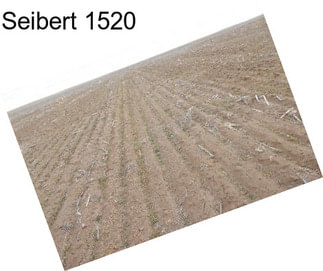 Seibert 1520