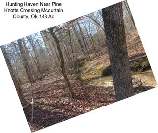 Hunting Haven Near Pine Knotts Crossing Mccurtain County, Ok 143 Ac