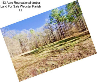 113 Acre Recreational-timber Land For Sale Webster Parish La