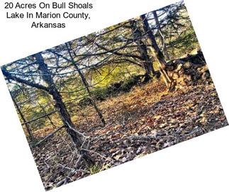 20 Acres On Bull Shoals Lake In Marion County, Arkansas