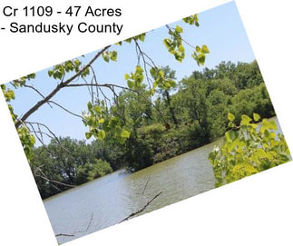 Cr 1109 - 47 Acres - Sandusky County