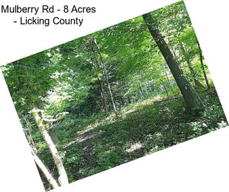 Mulberry Rd - 8 Acres - Licking County