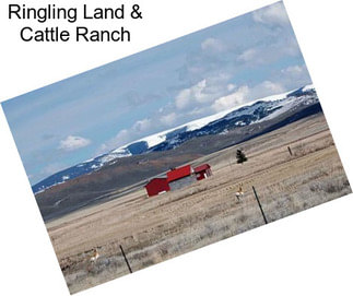 Ringling Land & Cattle Ranch