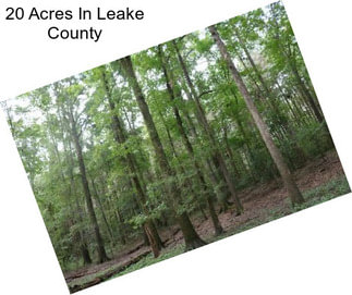 20 Acres In Leake County