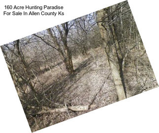 160 Acre Hunting Paradise For Sale In Allen County Ks