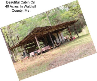 Beautiful Cabin On 40 Acres In Walthall County, Ms