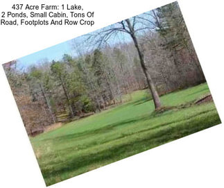 437 Acre Farm: 1 Lake, 2 Ponds, Small Cabin, Tons Of Road, Footplots And Row Crop