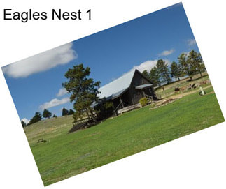 Eagles Nest 1