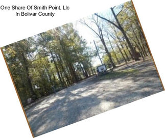 One Share Of Smith Point, Llc In Bolivar County