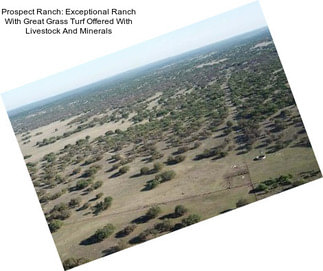 Prospect Ranch: Exceptional Ranch With Great Grass Turf Offered With Livestock And Minerals