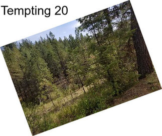 Tempting 20