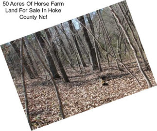 50 Acres Of Horse Farm Land For Sale In Hoke County Nc!