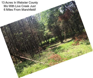 13 Acres In Webster County Mo With Live Creek Just 6 Miles From Marshfield!