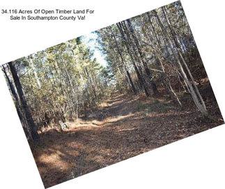 34.116 Acres Of Open Timber Land For Sale In Southampton County Va!