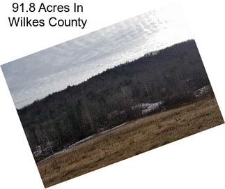 91.8 Acres In Wilkes County