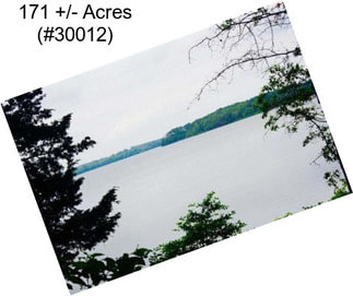 171 +/- Acres (#30012)