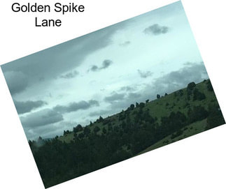 Golden Spike Lane