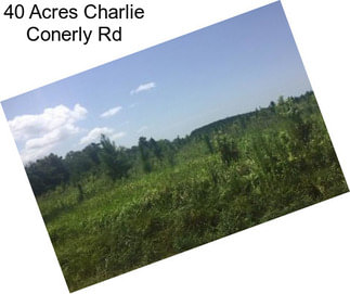 40 Acres Charlie Conerly Rd