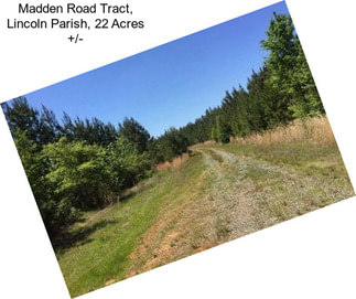 Madden Road Tract, Lincoln Parish, 22 Acres +/-
