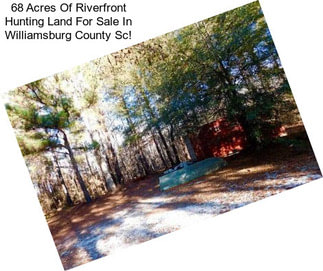 68 Acres Of Riverfront Hunting Land For Sale In Williamsburg County Sc!