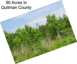 90 Acres In Quitman County