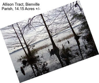 Allison Tract, Bienville Parish, 14.15 Acres +/-