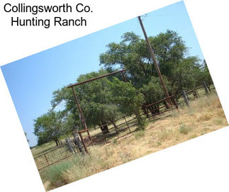 Collingsworth Co. Hunting Ranch