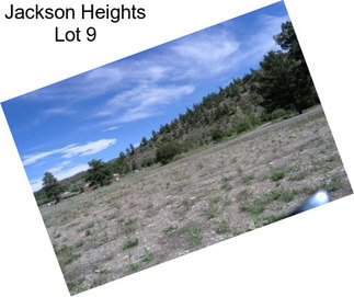 Jackson Heights Lot 9