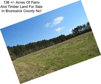 138 +/- Acres Of Farm And Timber Land For Sale In Brunswick County Nc!