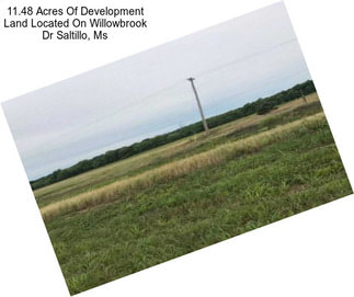 11.48 Acres Of Development Land Located On Willowbrook Dr Saltillo, Ms
