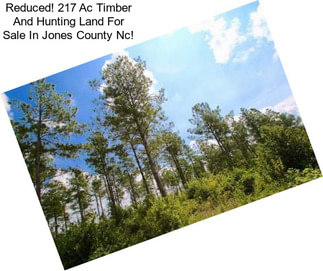 Reduced! 217 Ac Timber And Hunting Land For Sale In Jones County Nc!