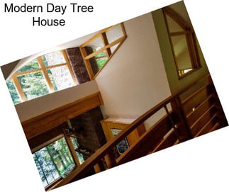 Modern Day Tree House