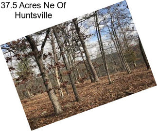 37.5 Acres Ne Of Huntsville