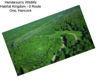Henderson\'s Wildlife Habitat Kingdom - 0 Route One, Hancock