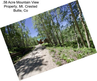 .58 Acre Mountain View Property, Mt. Crested Butte, Co