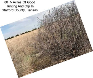 80+/- Acres Of Good Hunting And Crp In Stafford County, Kansas