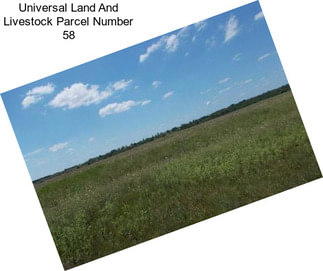 Universal Land And Livestock Parcel Number 58