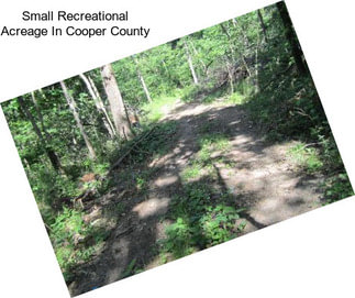 Small Recreational Acreage In Cooper County
