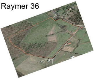 Raymer 36