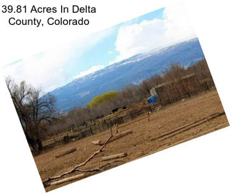 39.81 Acres In Delta County, Colorado