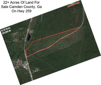 22+ Acres Of Land For Sale Camden County, Ga On Hwy 259