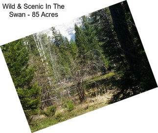 Wild & Scenic In The Swan - 85 Acres