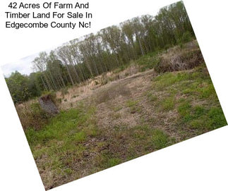 42 Acres Of Farm And Timber Land For Sale In Edgecombe County Nc!