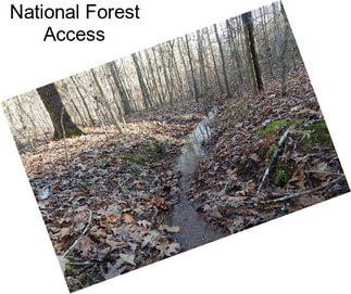 National Forest Access